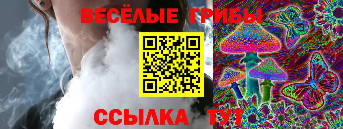 Галлюциногенные грибы Psilocybe Энгельс
