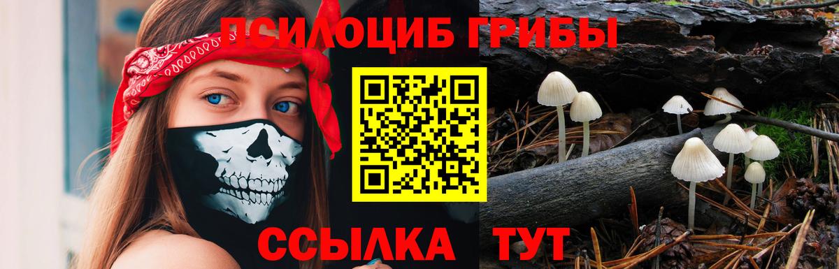 Энгельс  Галлюциногенные грибы ЛСД  Вход с VPN 
